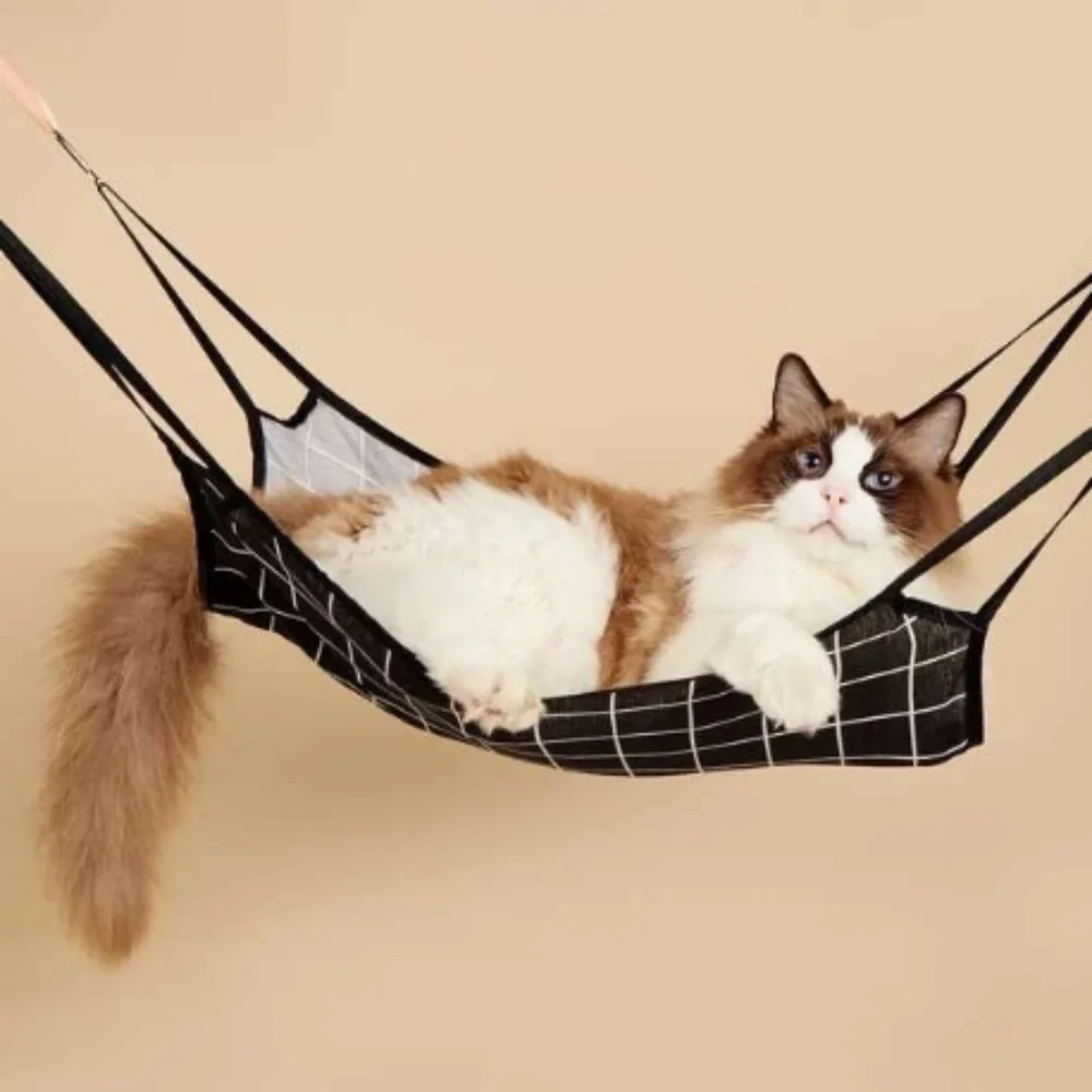 Pet Hammock